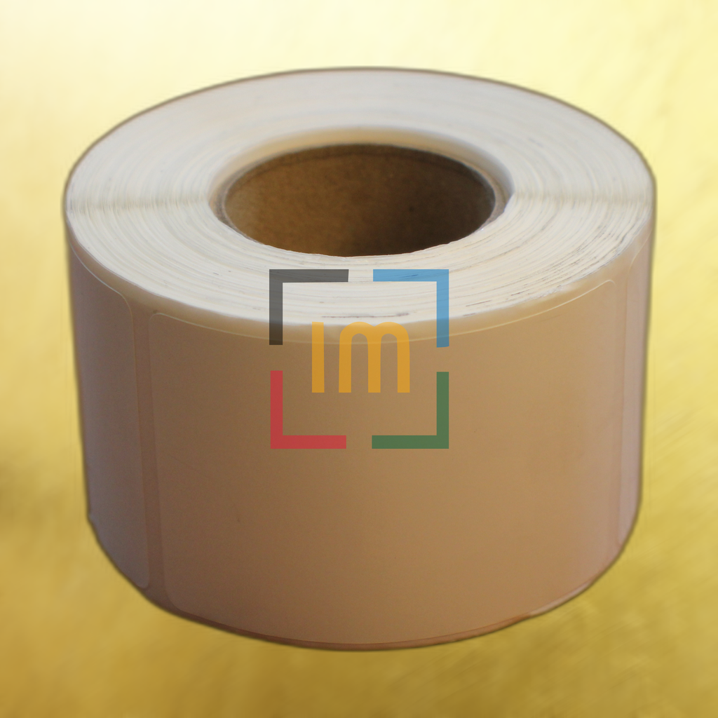 IMG_9684.JPG-nobg.png