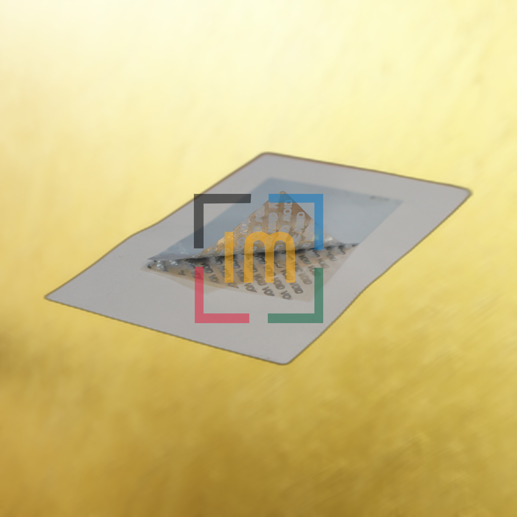 IMG_9810.JPG-nobg.png