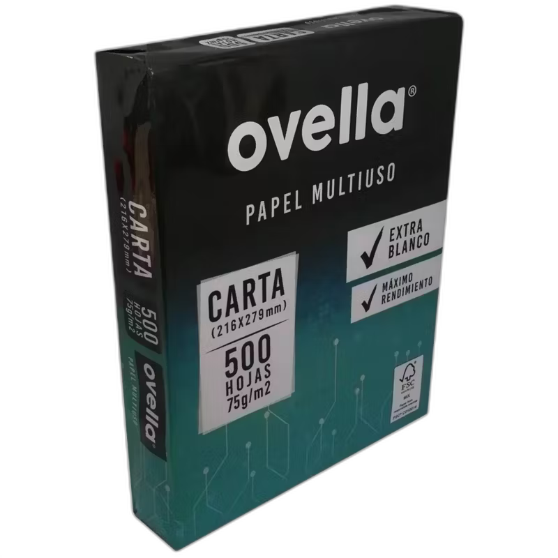 Caja 10 Resmas Tamaño Carta 500 Hojas 75gr