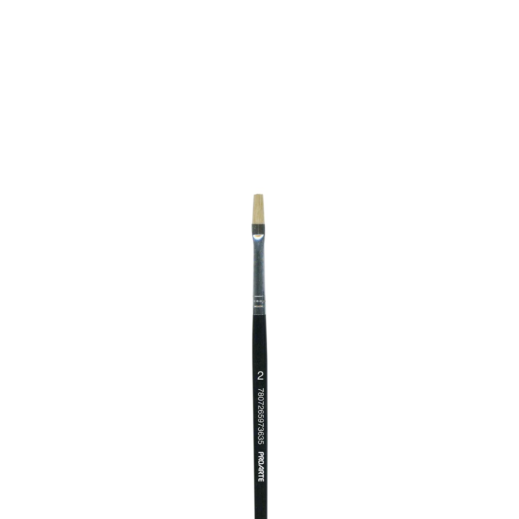 Pincel proarte pelo cerda 577 n°2