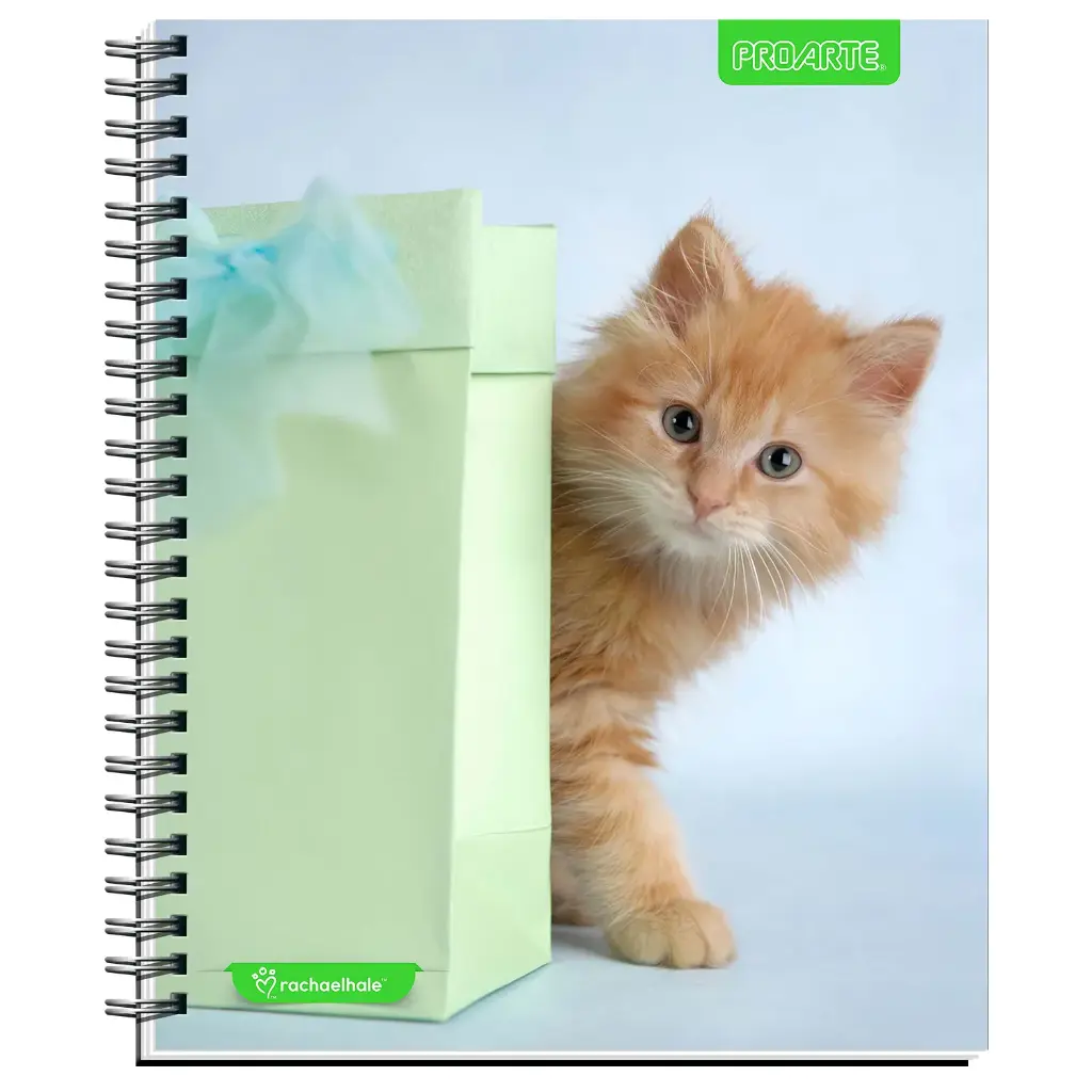 CUADERNO UNIV. E/D 100 HJ M7 T/DURA M7
