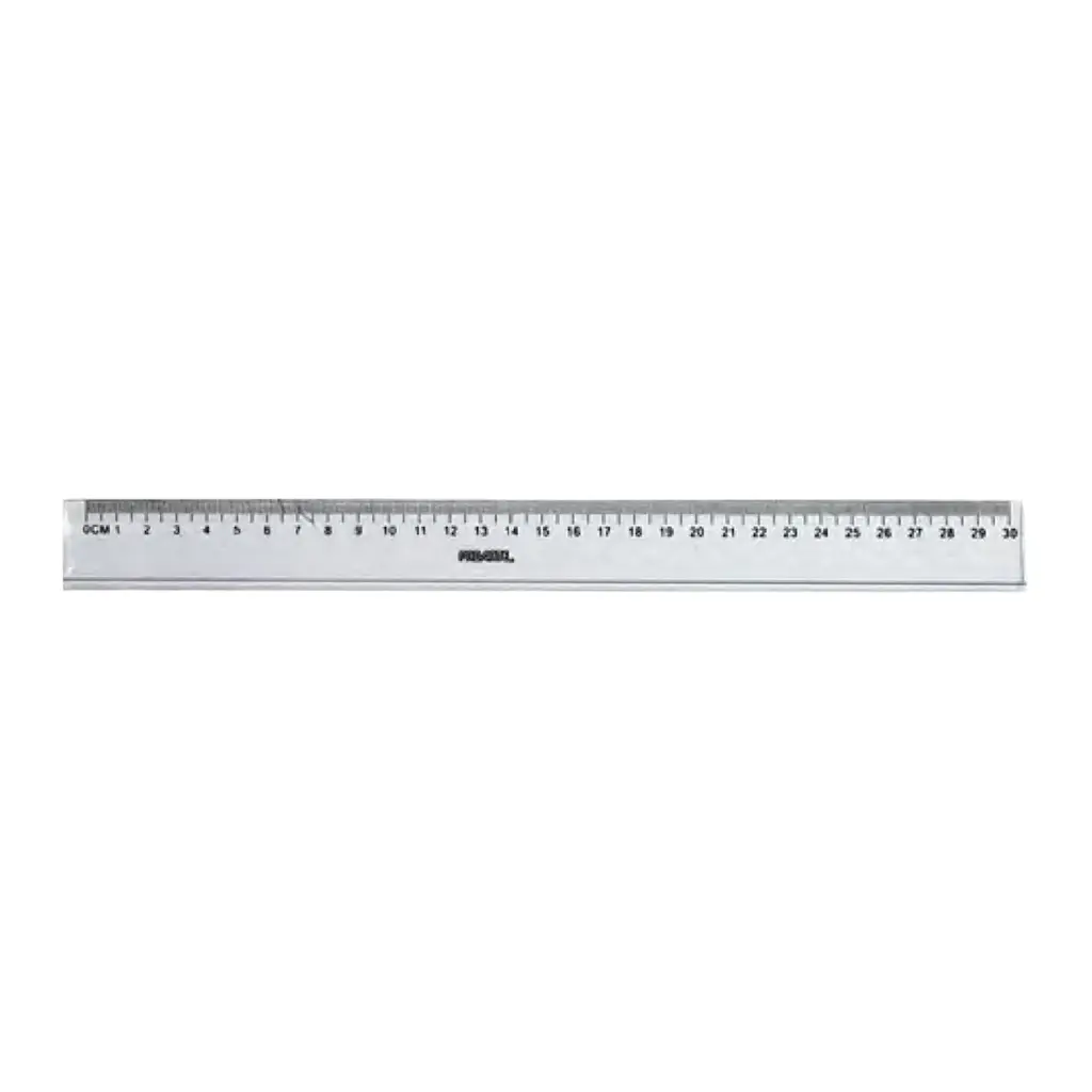 REGLA PLASTICA 30 CM