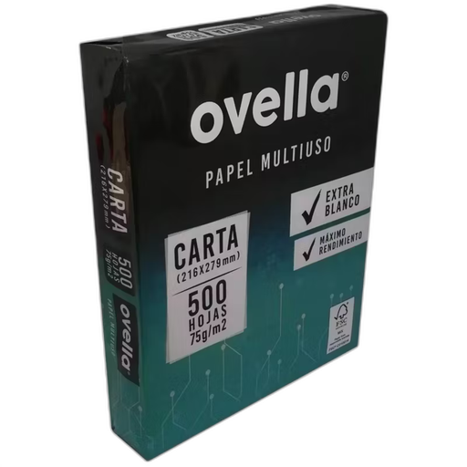 [NZ-00951] Caja 10 Resmas Tamaño Carta 500 Hojas 75gr