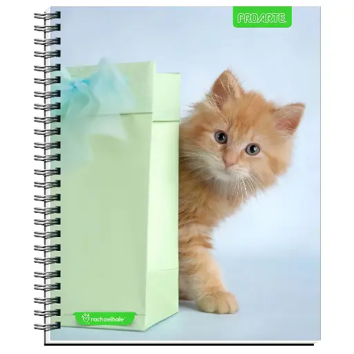 [23417-6] CUADERNO UNIV. E/D 100 HJ M7 T/DURA M7