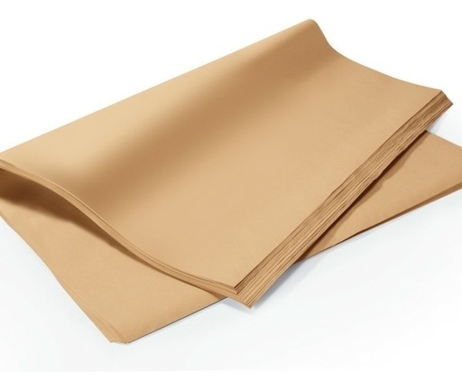[PG_2POZ8] PAPEL KRAFTGRUESO PLIEGO