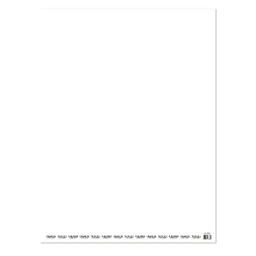 [13100-8 ] CARTULINA 53X75 PLIEGO BLANCO